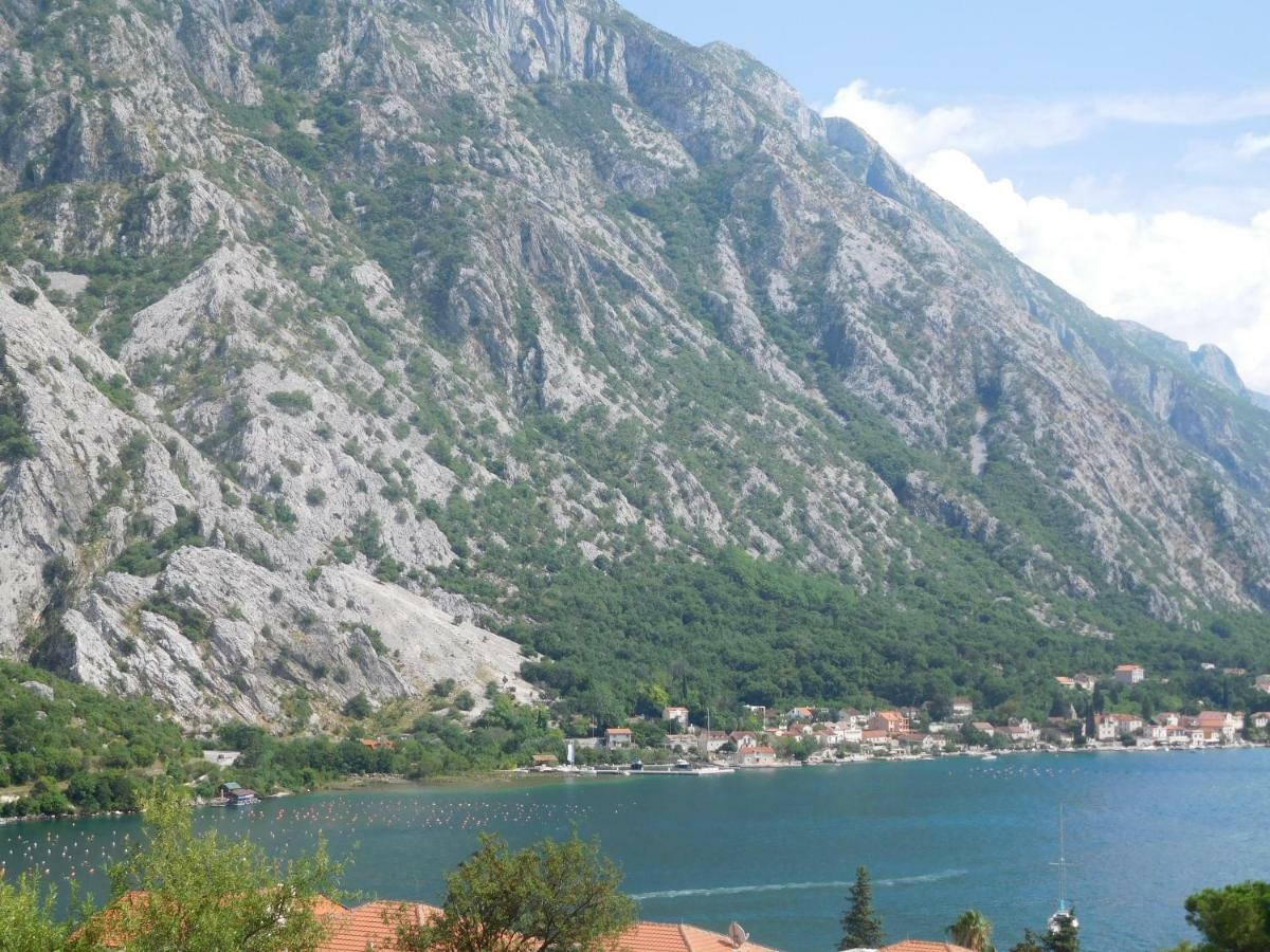 Aronija Gæstehus Kotor